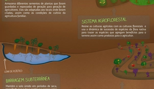 infograficoFinal