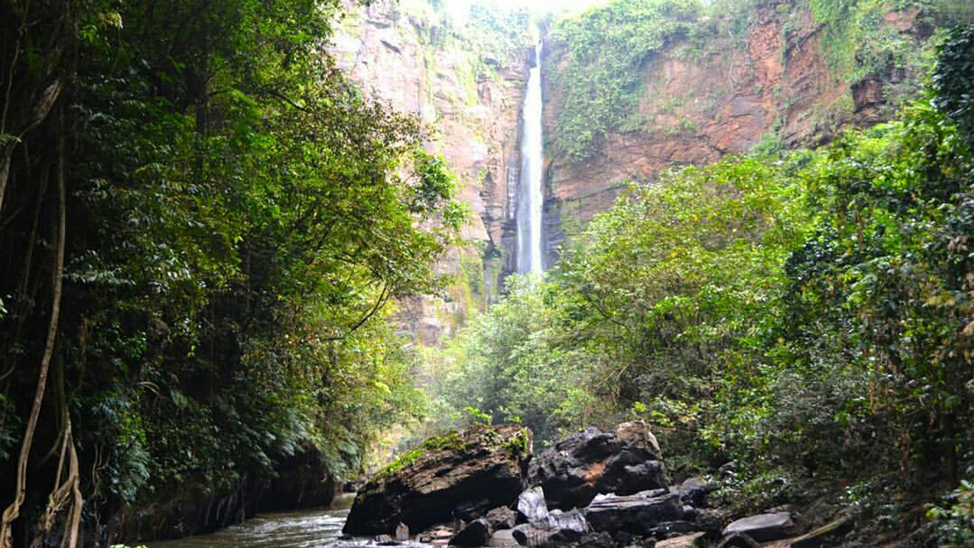 O Cerrado é também chamado de Berço das Águas, por abrigar importantes aquíferos. Foto: Eanes Silva