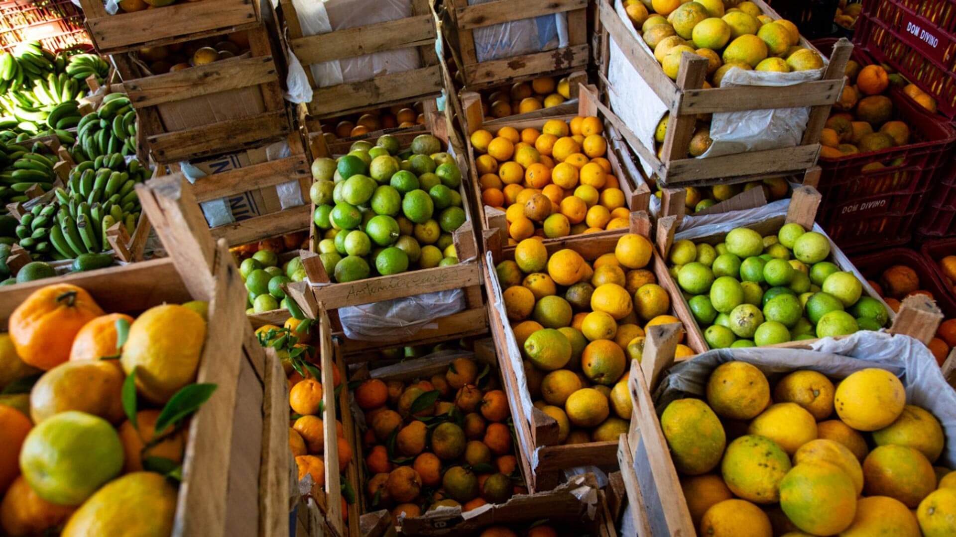 Na região da Zona da Mata mineira, o Centro de Tecnologias Alternativas (CTA-ZM) distribuiu mais de 22 toneladas de alimentos. Foto: CTA-ZM