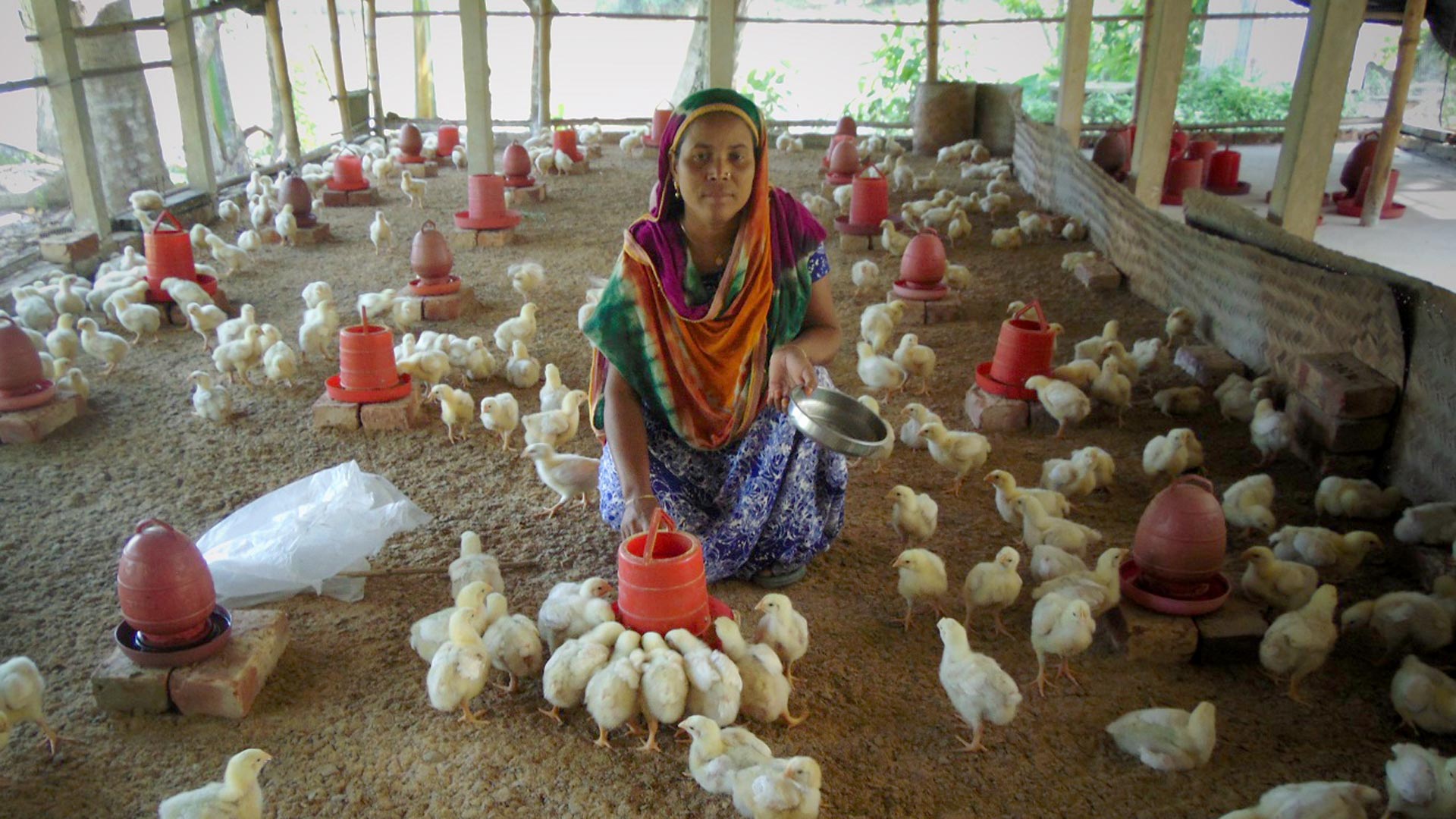 Dulali participa desde 2016 do grupo de poupança feminina Zamuna Women’s Group, promovido pela ActionAid. Foto: ActionAid