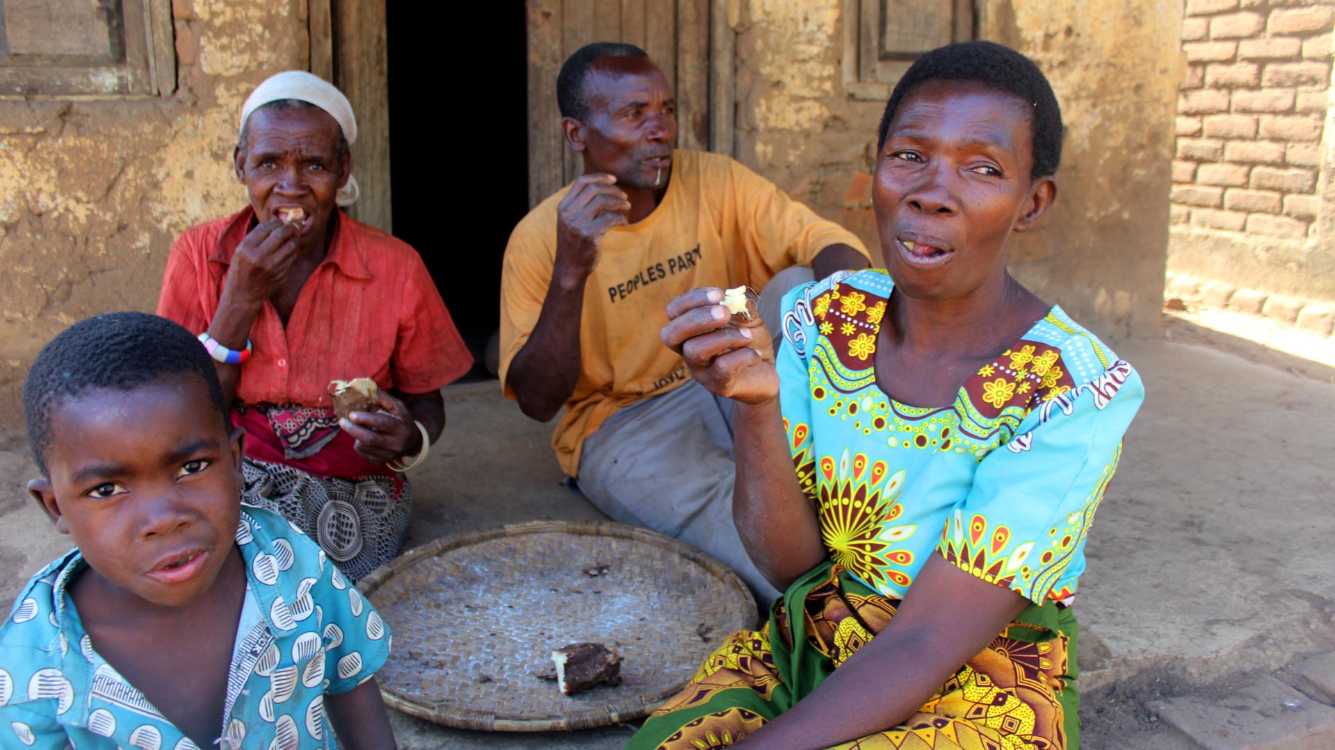 Para sobreviver, Nkhoma e sua família estão se alimentando de Mikawa, um tubérculo selvagem. Foto: ActionAid