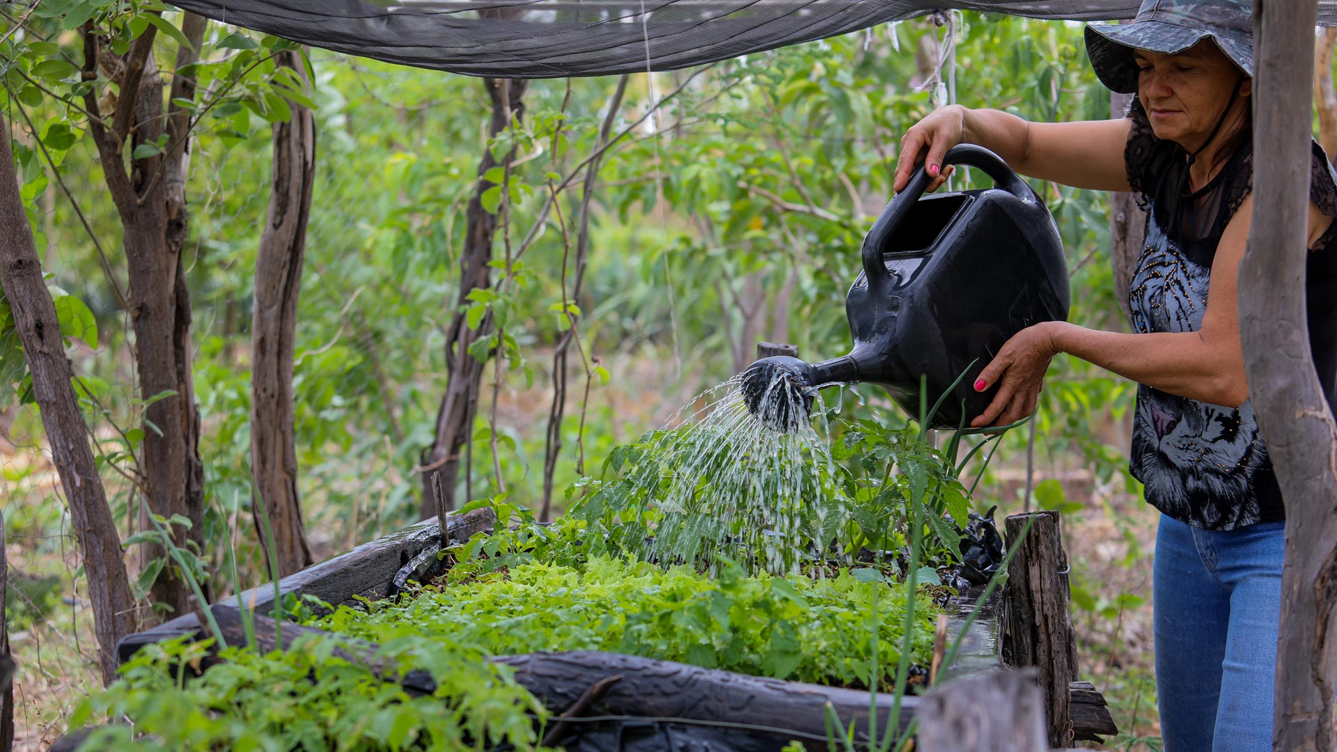 Marilene recebe conhecimento e estrutura para manter e ampliar suas produções agroecológicas. Foto: ActionAid
