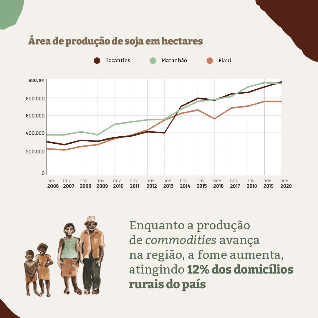 Infográfico: Área de produção de soja