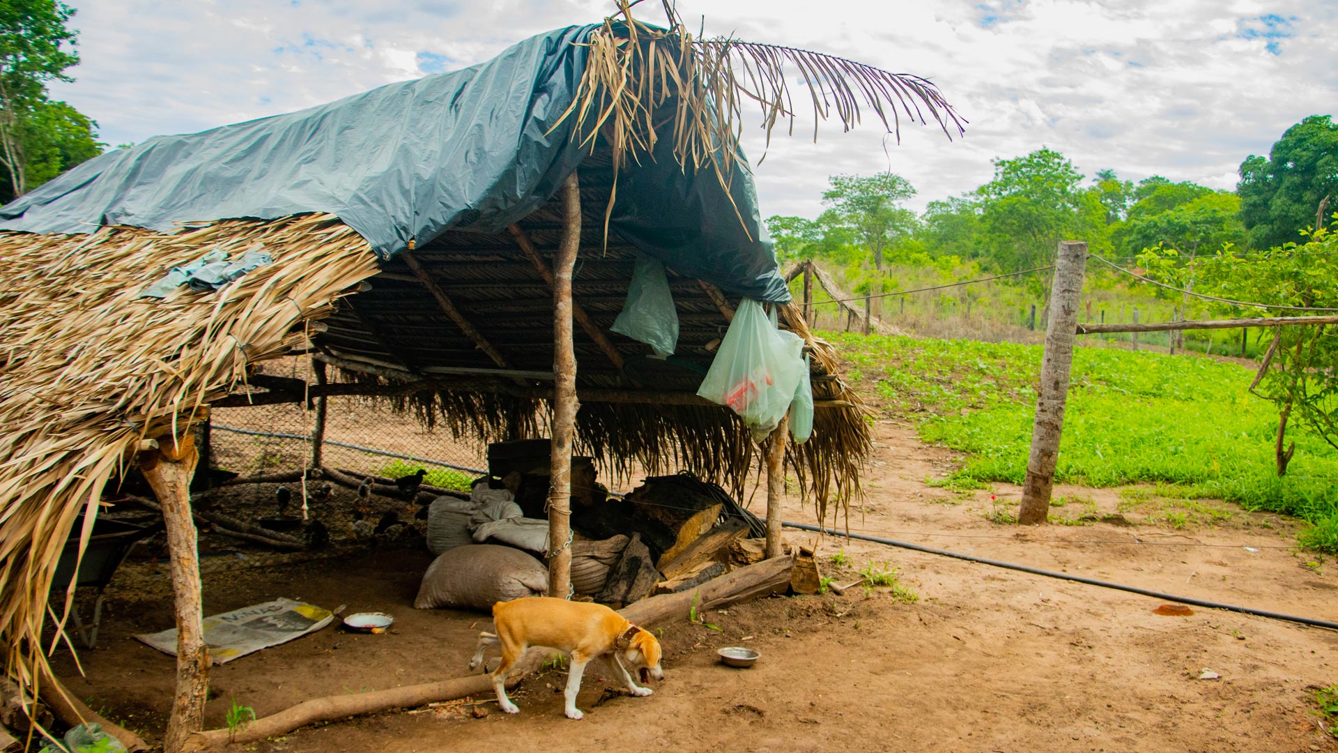 A Comunidade de Ilha Verde, em Babaçulândia, no Tocantins, que contempla 40 famílias ribeirinhas, é alvo de intensos conflitos de disputas por terra. Foto: Gustavo Ohara / ActionAid