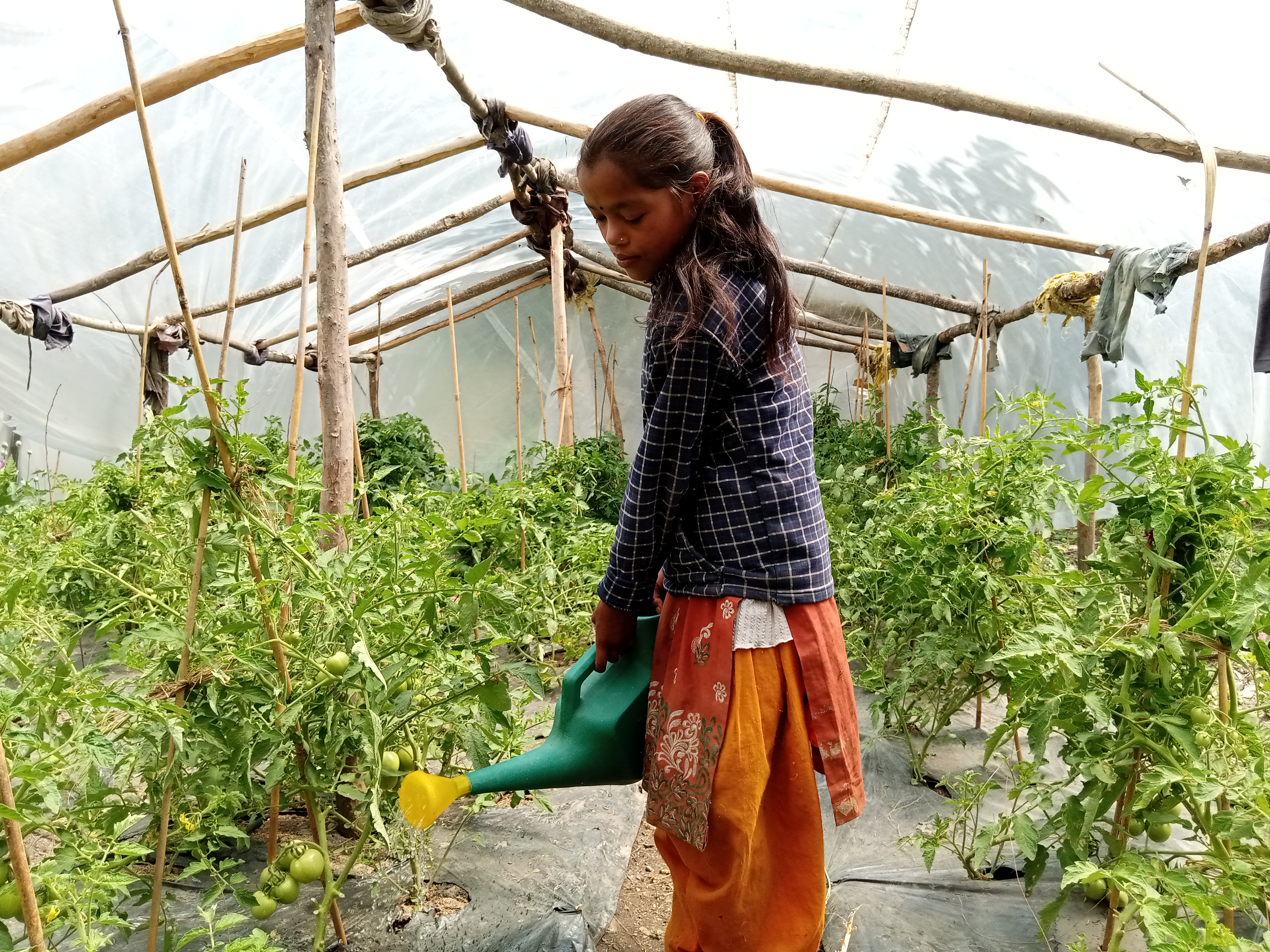 Rita e sua família agora podem cultivar alimentos de qualidade o ano inteiro / Foto: Nar Bahadur Rokaya / ActionAid