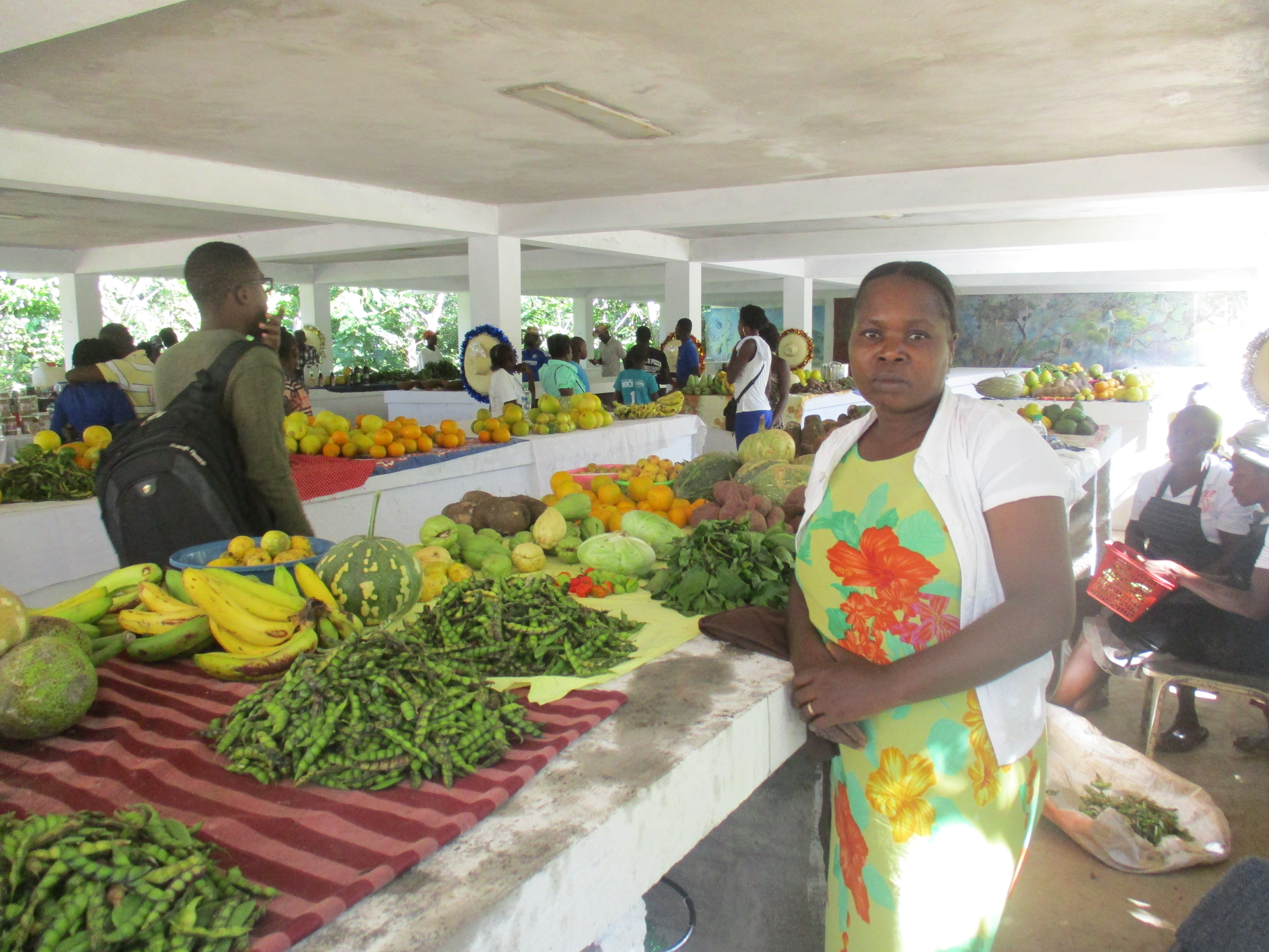 Os mercados liderados por mulheres, como Nana, mudaram a realidade de comunidades no Haiti e garantem a renda de diversas famílias / Foto: Elizabeth Richard / ActionAid