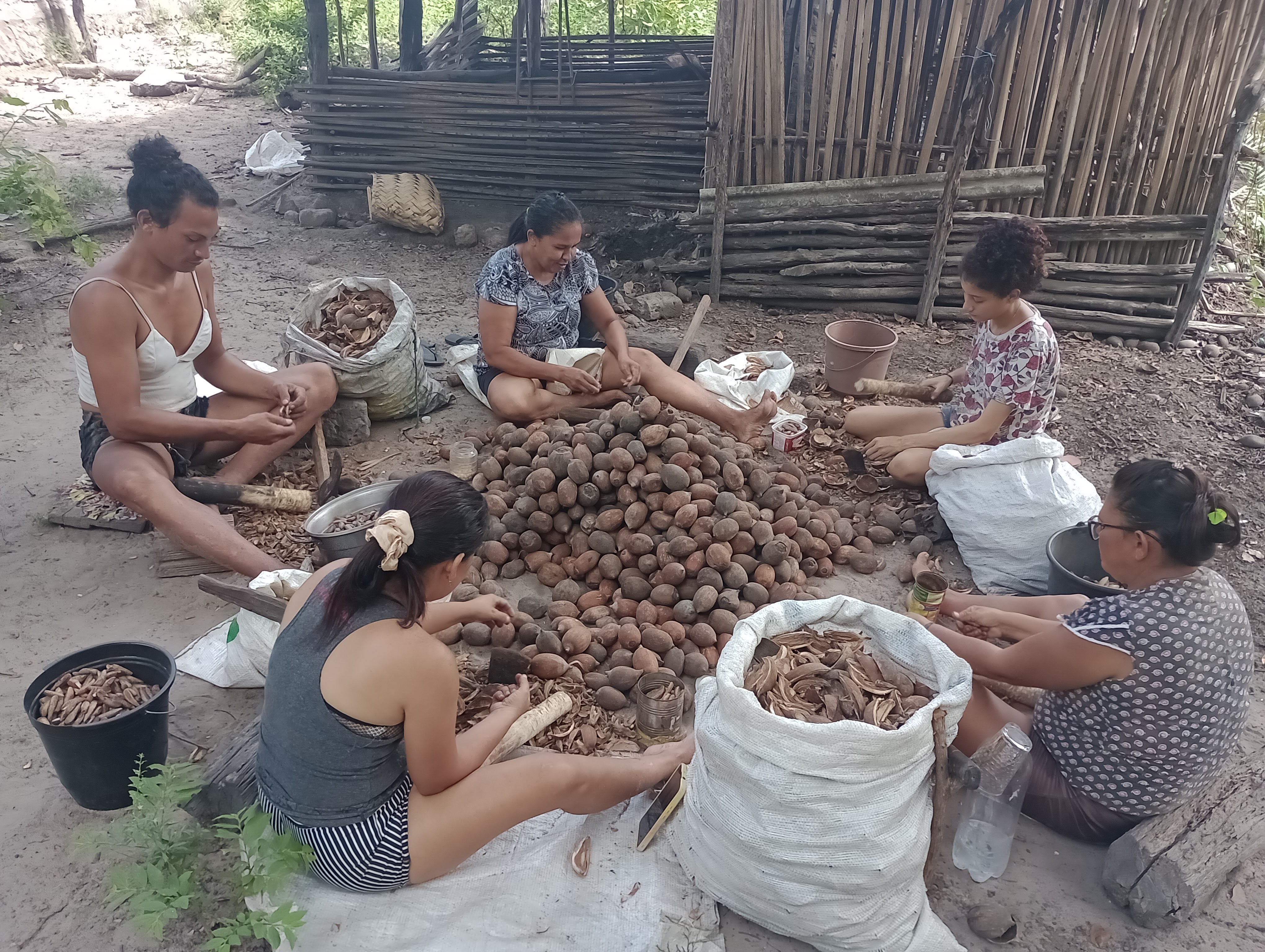 Antônia (ao centro) e a comunidade de quebradeiras de coco que ajuda a proteger a floresta e garante a renda de suas famílias / Foto: Jucelino Silva / ActionAid
