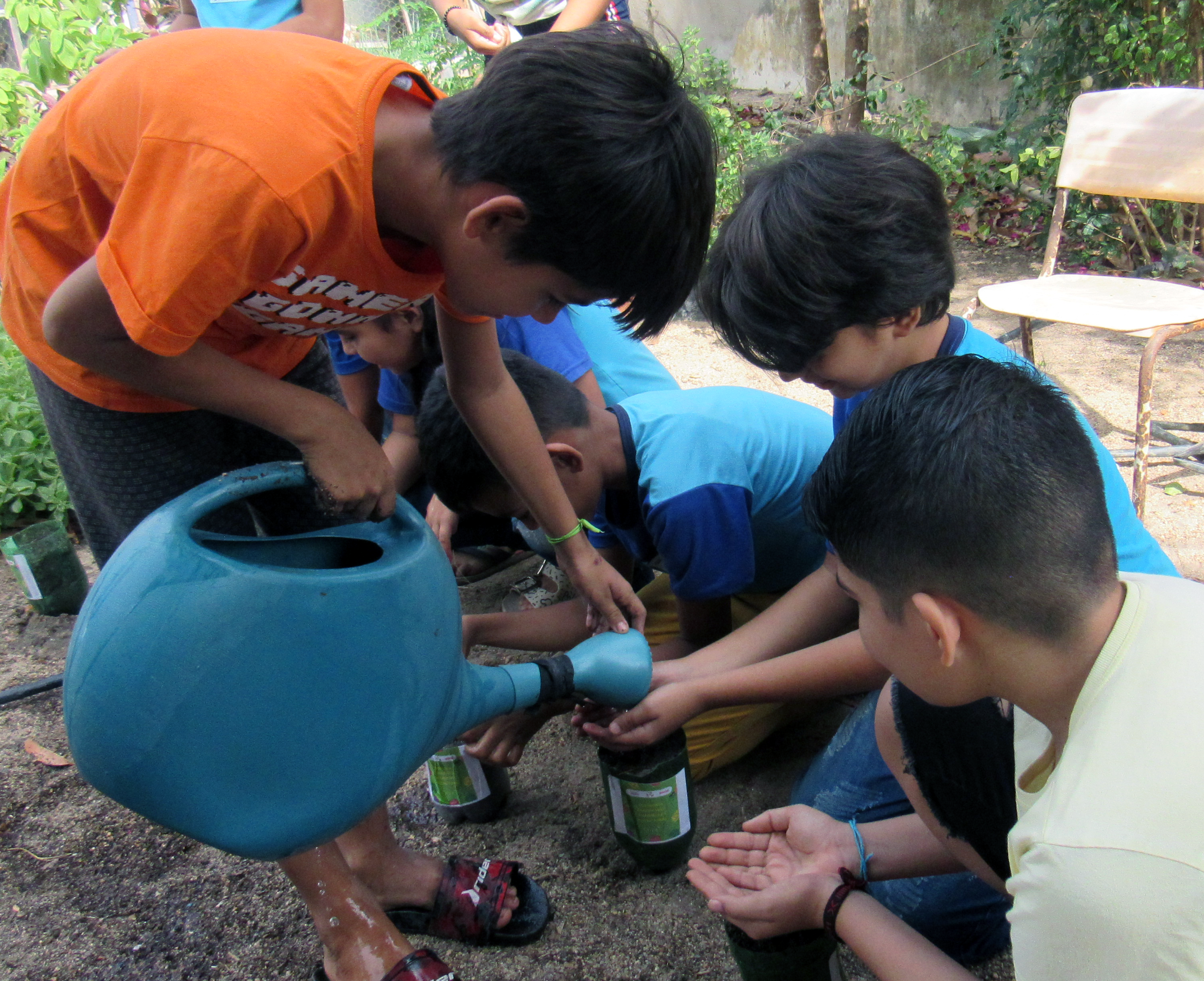Crianças se envolvem diretamente no plantio e cuidado da horta da escola / Dani Guerra/Esplar / ActionAid