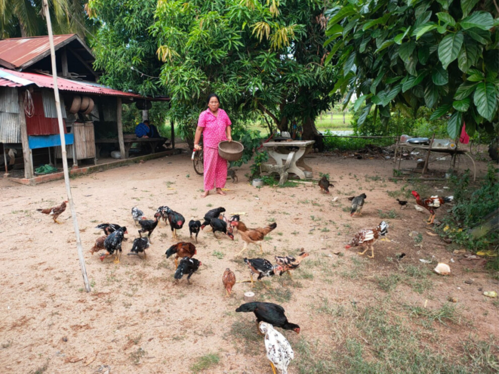 Khorn pode aumentar os animais de sua família depois do apoio fornecido pela ActionAid / Foto: ActionAid